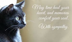 time heal.jpg