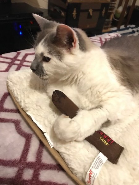 tina holding cigar.jpg