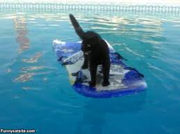 TiTi surfing.jpg