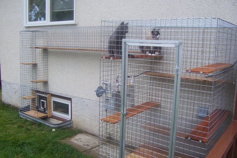 tracey_cathouse_01 (2).JPG