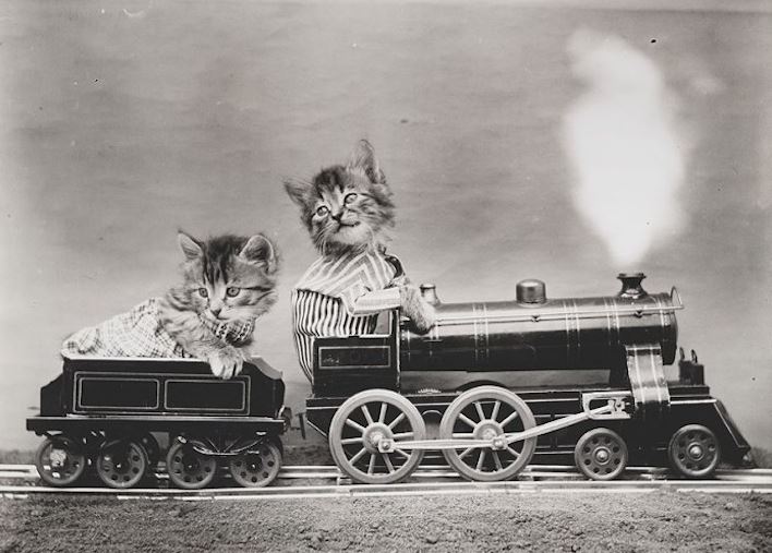train.JPG