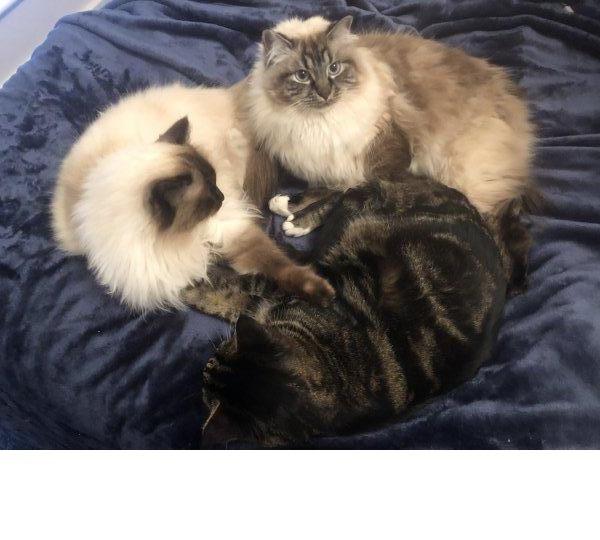 Tucker -6-25-2019.JPG