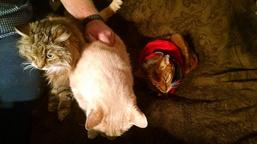 upload_2015-1-29_1-26-38.png