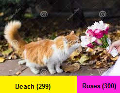upload_2017-7-19_8-46-16.png