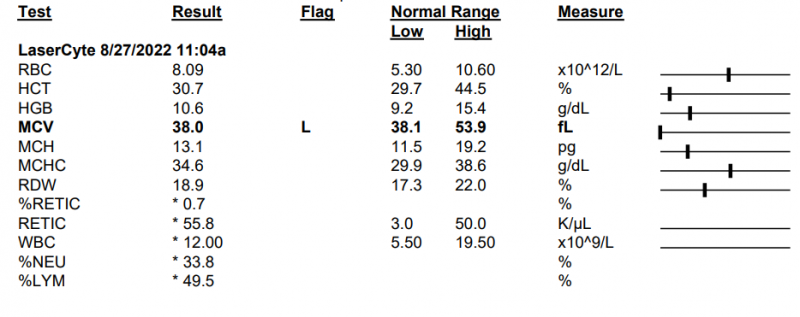 upload_2022-9-13_18-38-7-png.65372