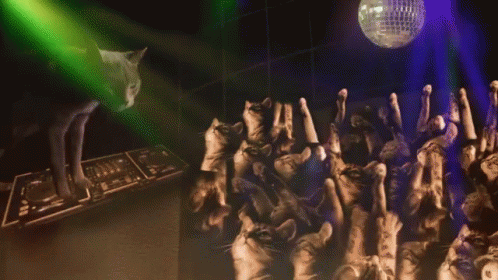 upload_2023-1-8_15-34-59-gif.66104