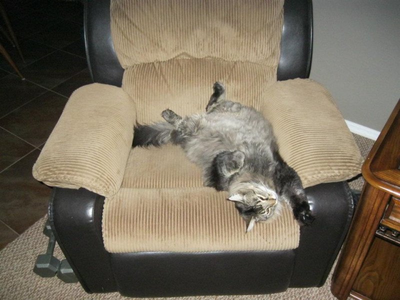 Upside Down.jpg