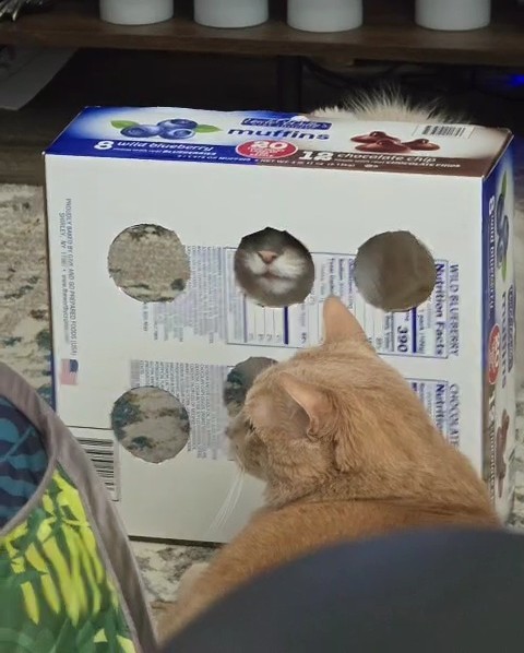 VideoCapture_20250914-221016.jpg