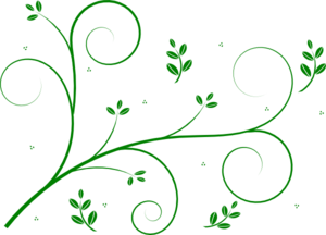 vines.png