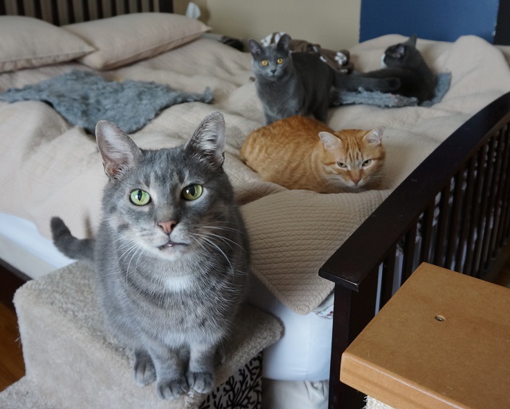 Walter and friends.jpg