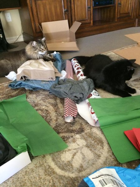 Wrapping Gifts 2015.jpg