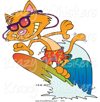 yellow tabby surf (Mobile).jpg