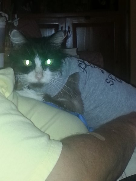 Zoey Ice Pack (side view).jpg