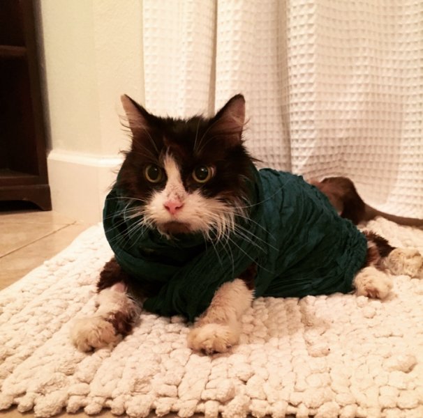 Zoey in Green.jpg