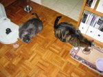 IMG_1059.JPG