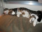 IMG_1056.JPG