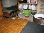 IMG_1129.JPG