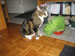 IMG_1141.JPG