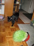 IMG_1124.JPG