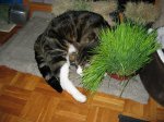 IMG_1179.JPG
