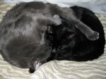 IMG_1178.JPG