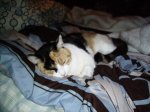IMGP0023.JPG