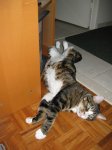IMG_1200.JPG