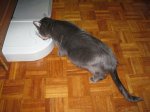 IMG_0561.JPG