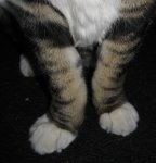 IMG_1365cropped.jpg