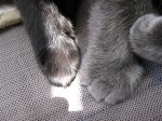 IMG_1368.JPG
