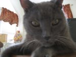 IMG_1419.JPG