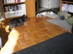 IMG_1465.JPG