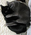IMG_1554 cropped.jpg