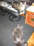 IMG_1569.JPG