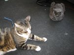 IMG_1577.JPG