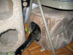 IMG_1519.JPG