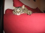 IMG_0618.JPG