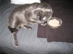 IMG_1766.JPG