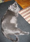 IMG_1756 cropped.jpg