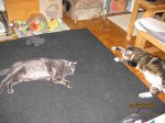 IMG_2170.JPG