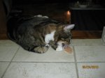 IMG_2148.JPG