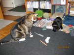 IMG_2126.JPG
