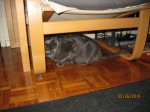 IMG_2178.JPG