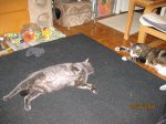 IMG_2175.JPG