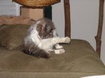 dsc02629.jpg