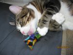 IMG_2267.JPG