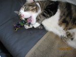 IMG_2260.JPG