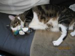 IMG_2243.JPG