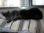 IMG_2230.JPG