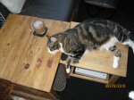 IMG_2277.JPG